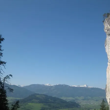 Schusterhaeusl Appartamento *